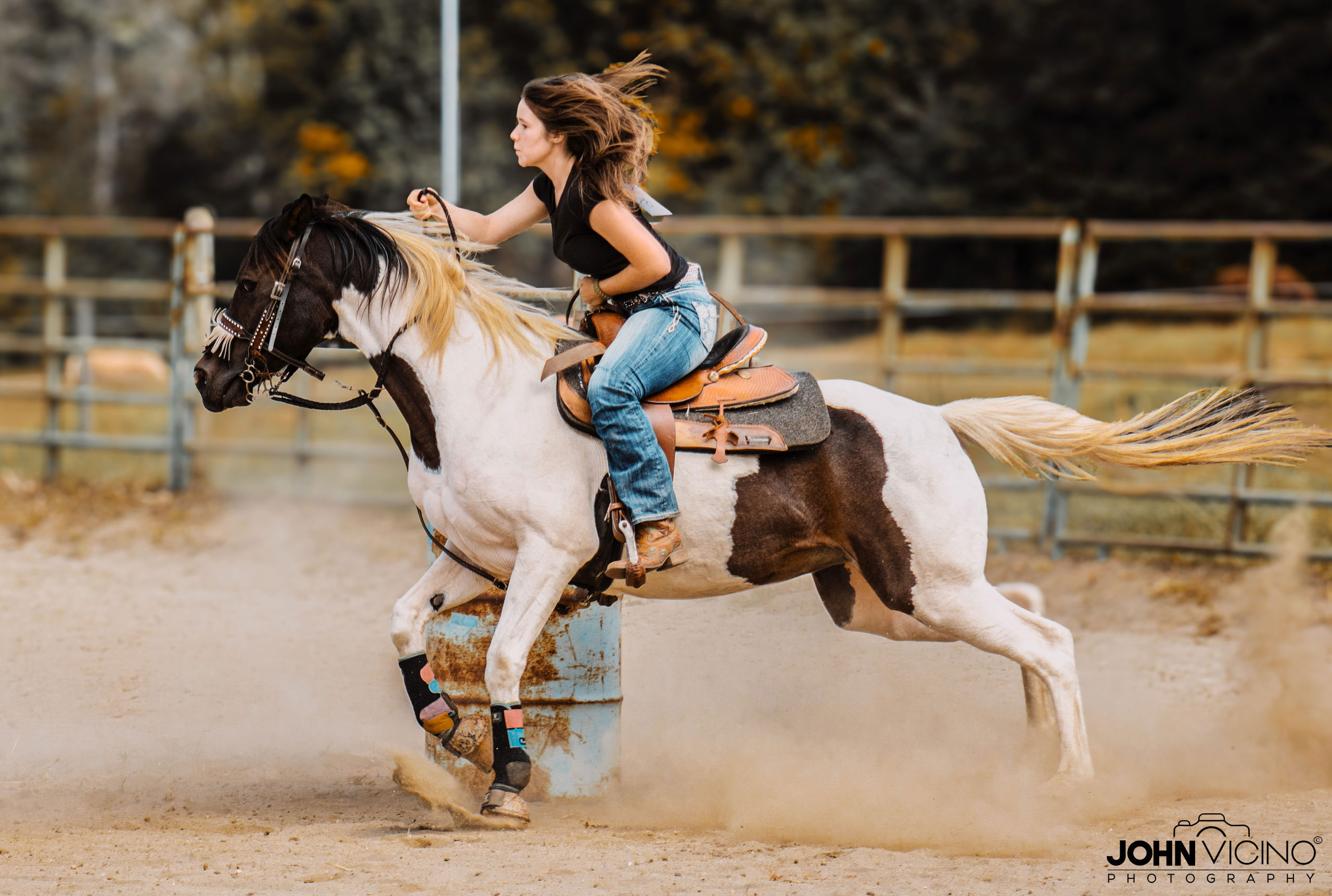 Action Photography  |  Horseback Riding