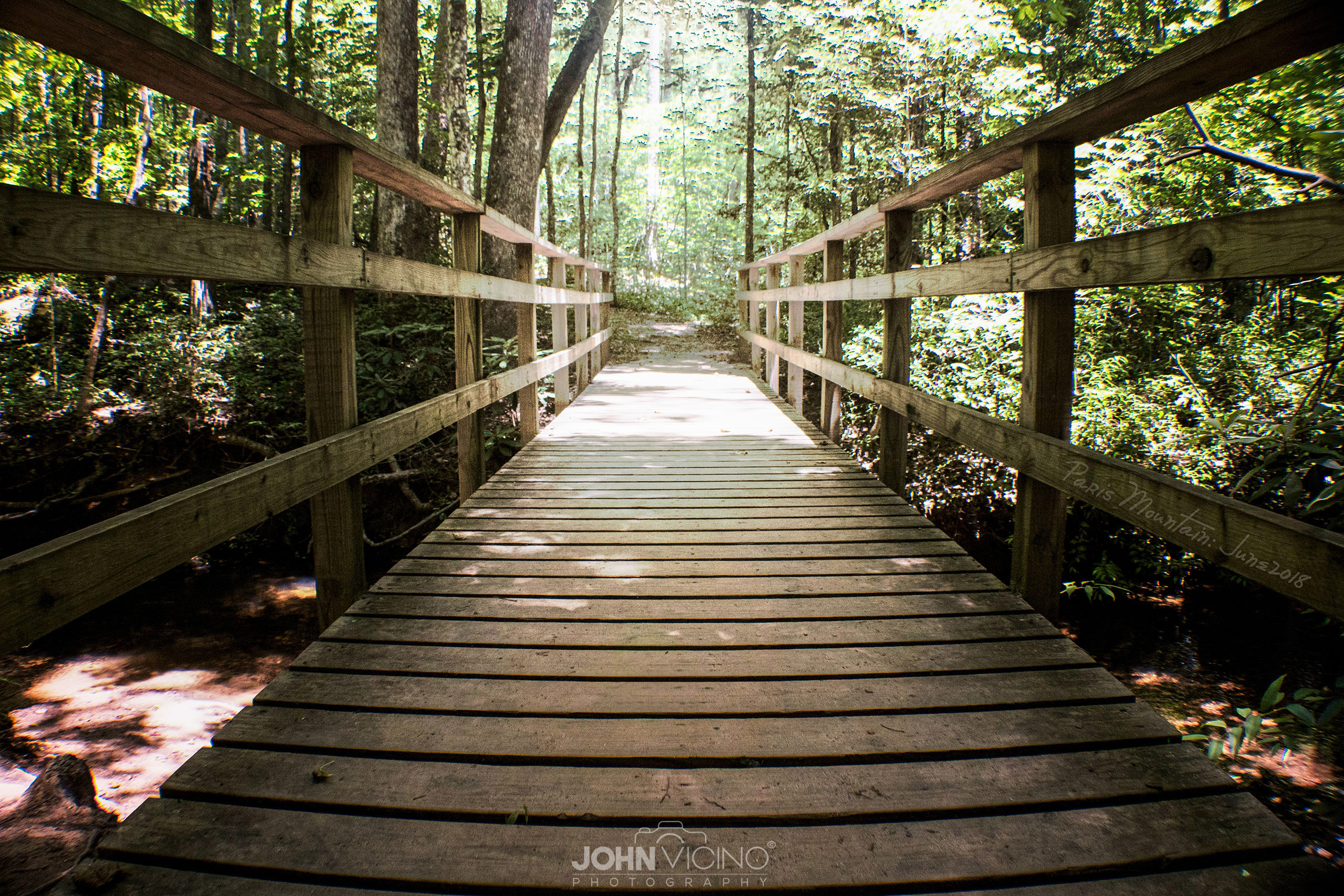 Bridge Photography