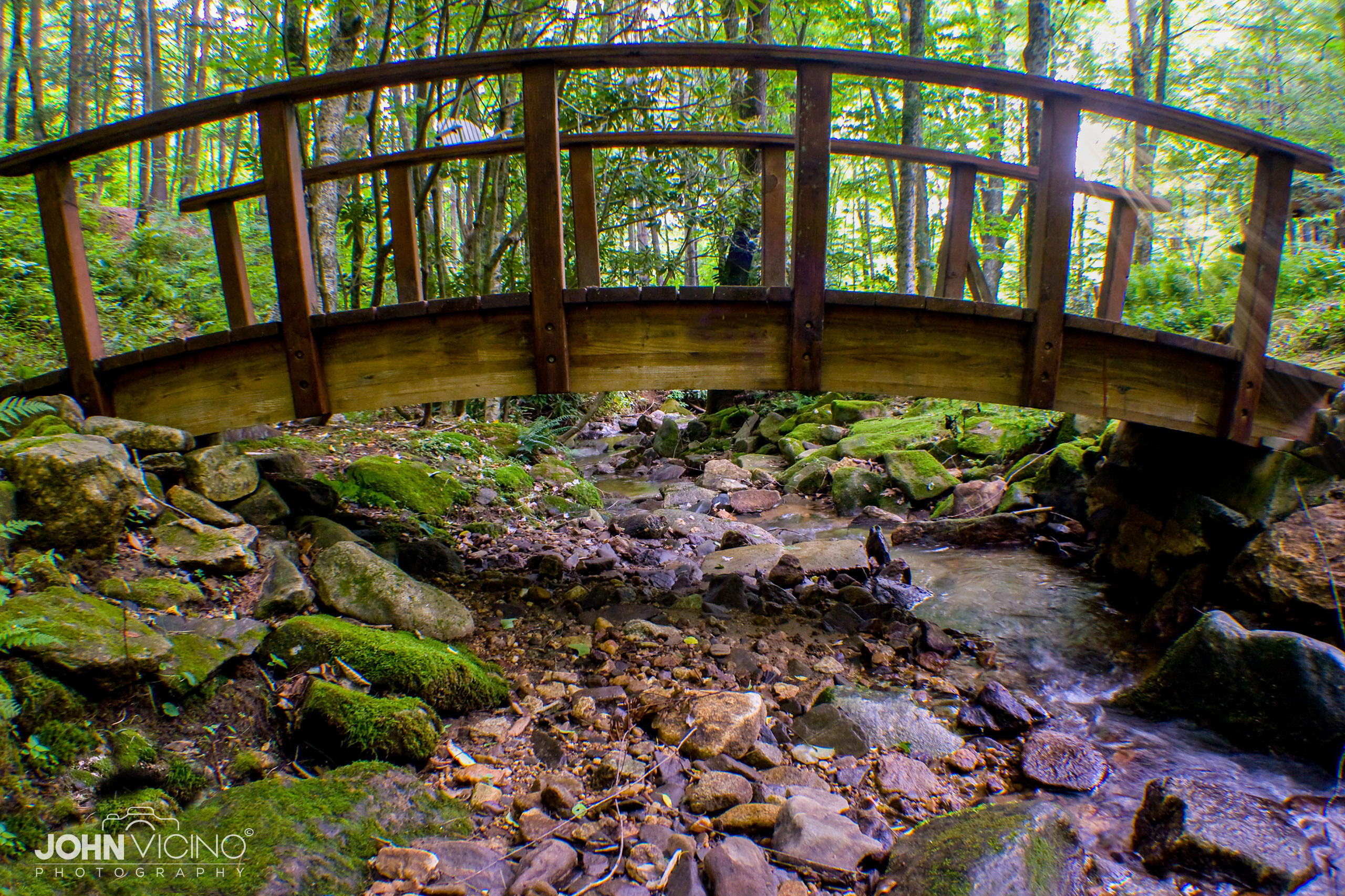 Bridge Photography  |  Bridge Photos