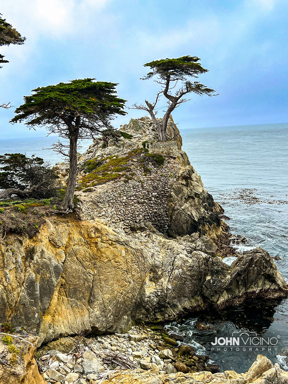 Landmark Photography  |  Pacific Coast Highway  |  The Lone Cypress