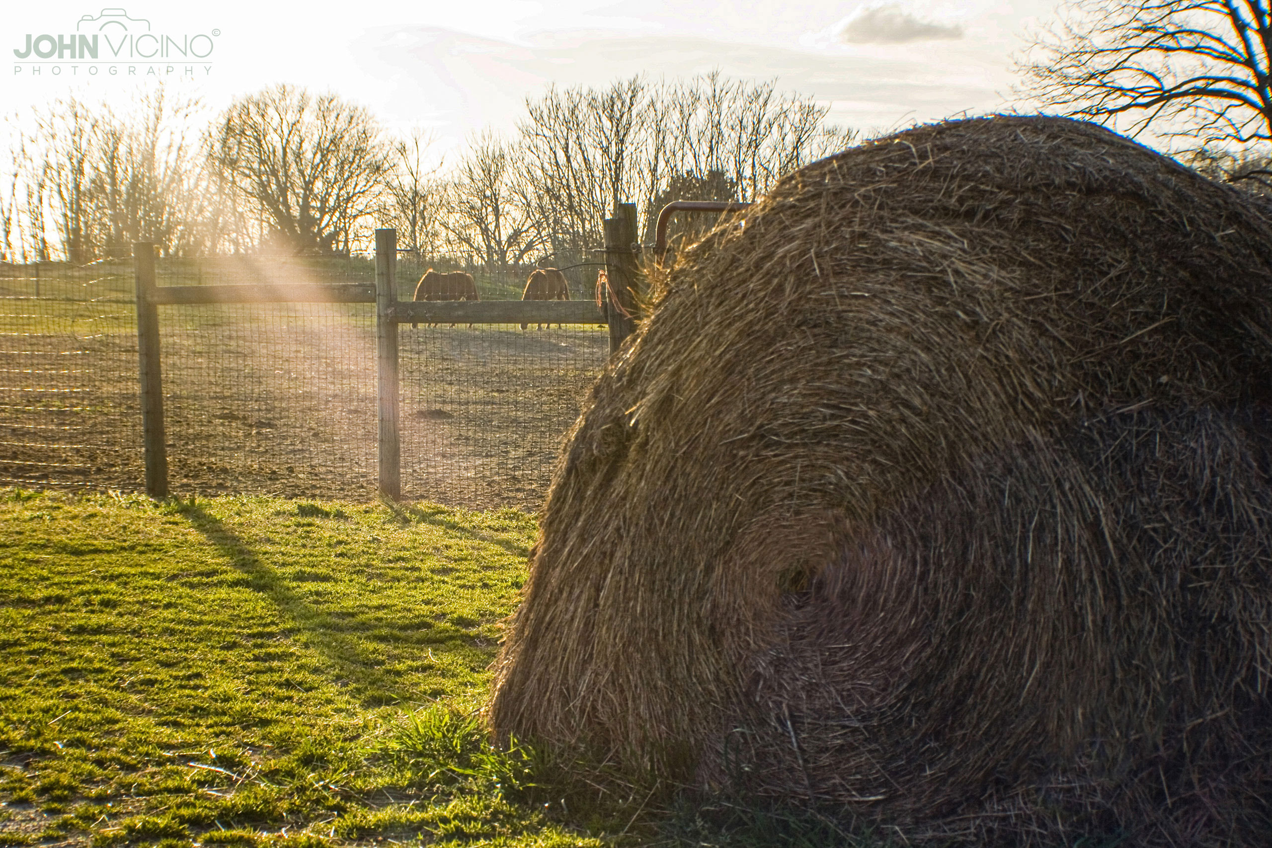 Landscape Photography  |  Cool Country Photos