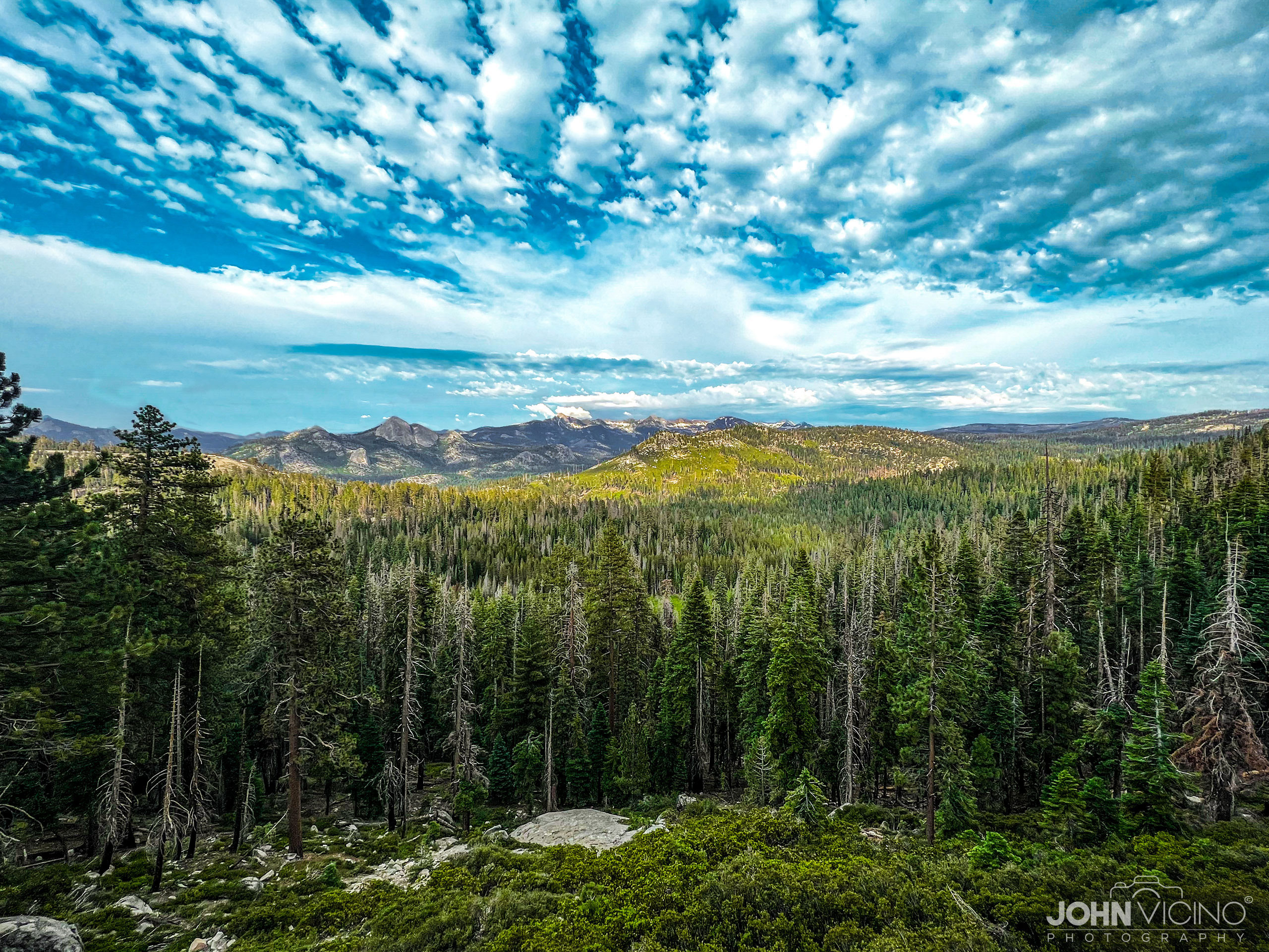 Landscape Photography  |  Yosemite National Park