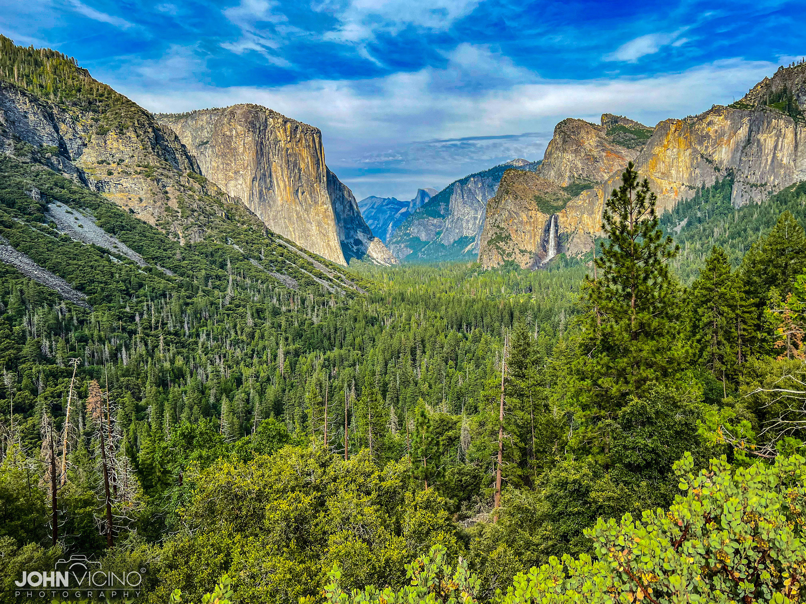 Landscape Photography  |  Yosemite National Park