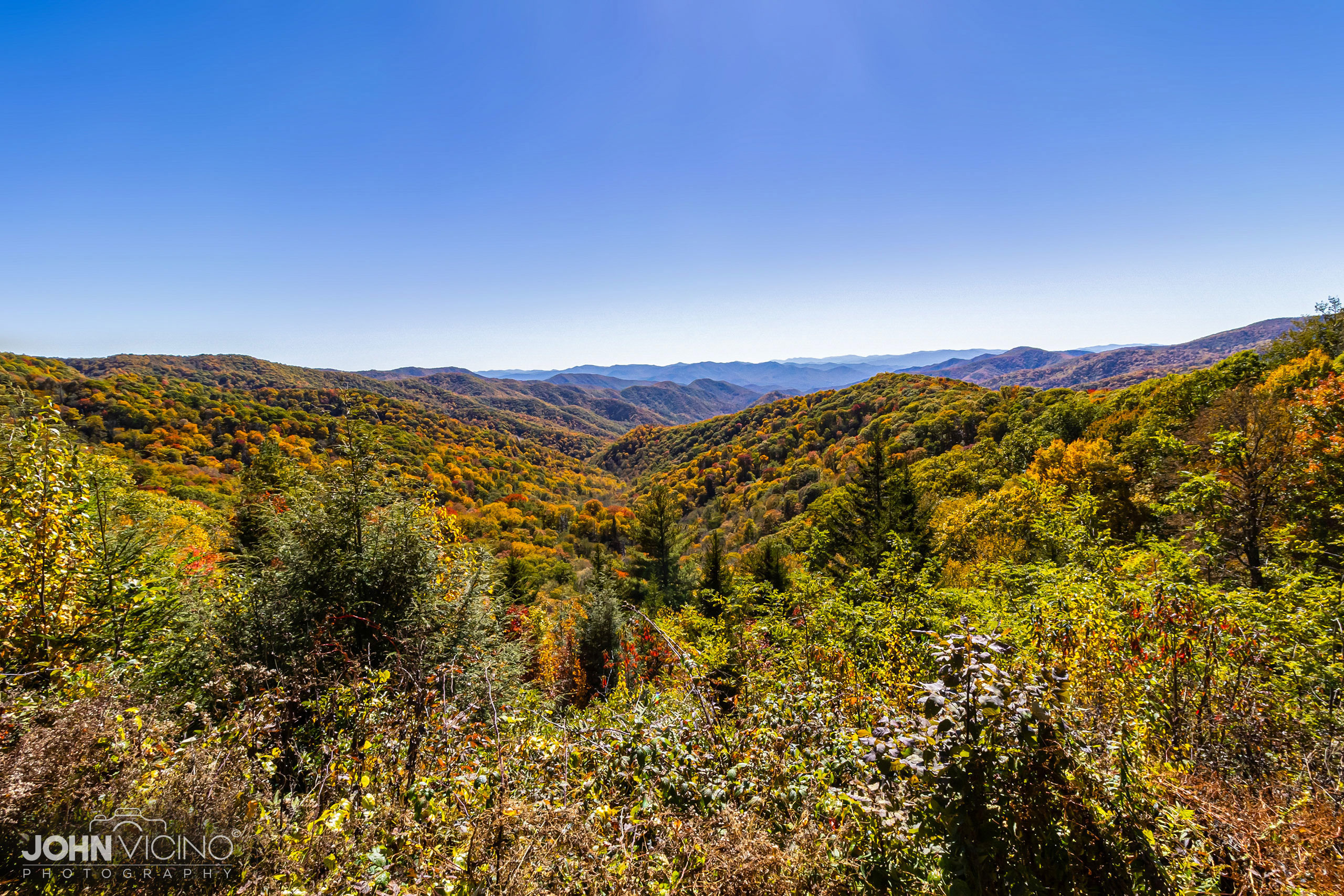 Landscape Photography | Fall Foliage | Great Smoky Mountains National Park
