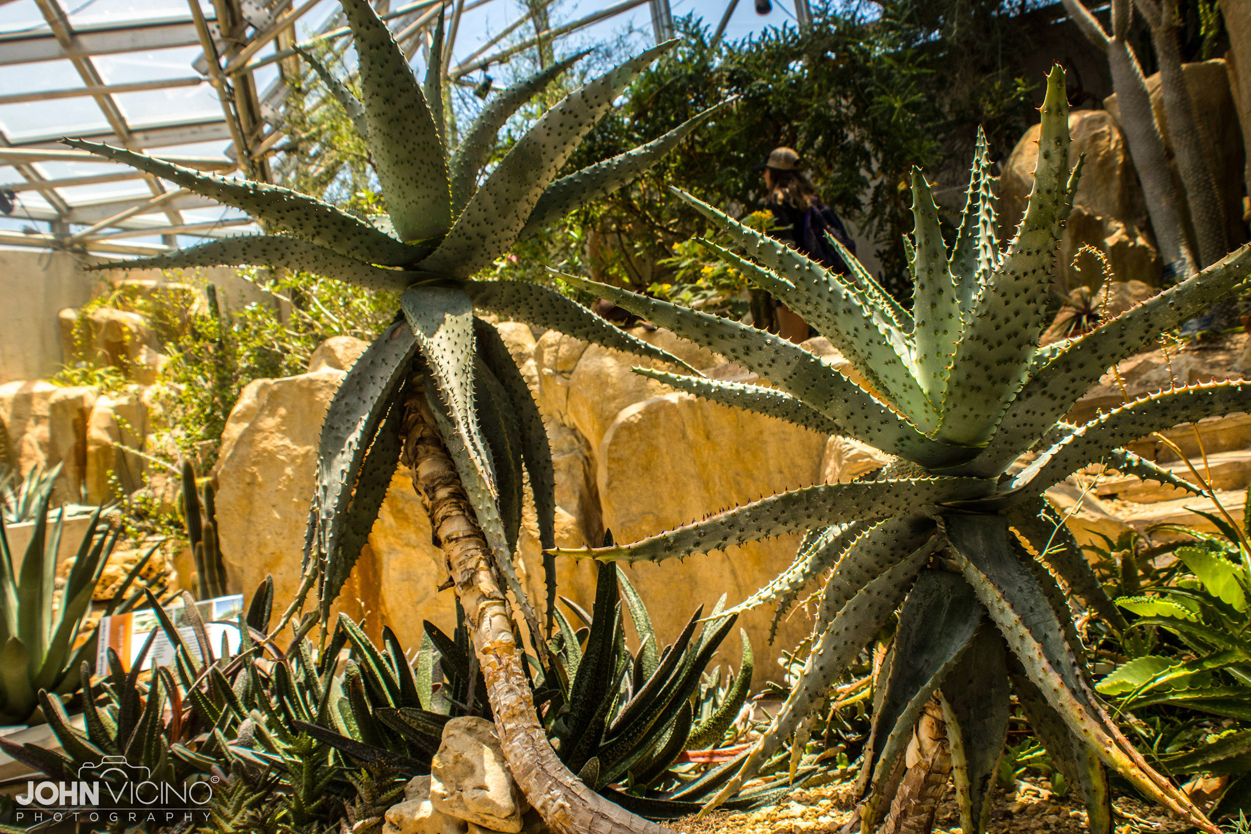 Landmark Photography  |  Texas Photos