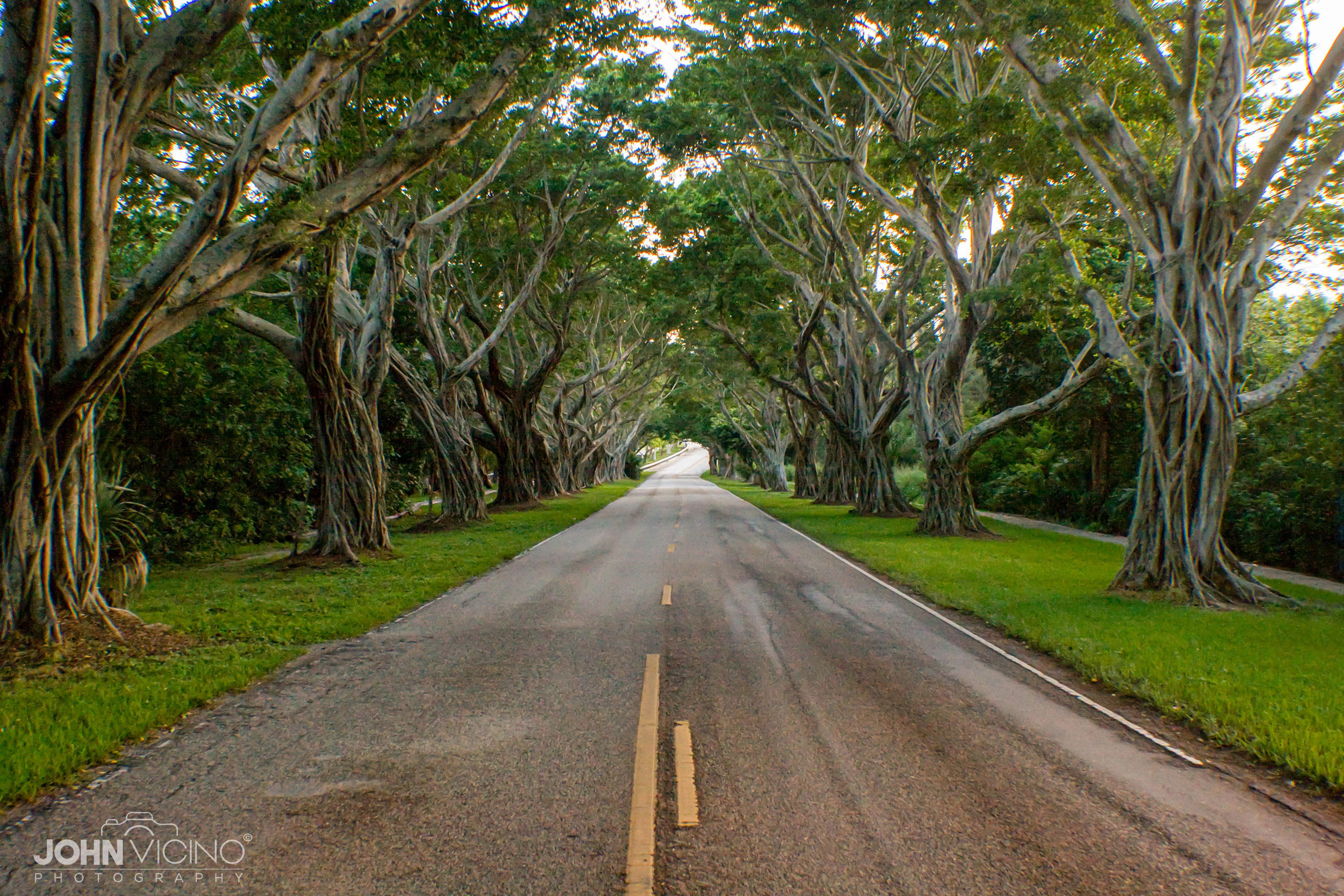 Landscape Photography  |  Road Photography  |  Road Photos