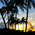 Landscape Photography  |  Scenic Photography  |  Outdoor Photography