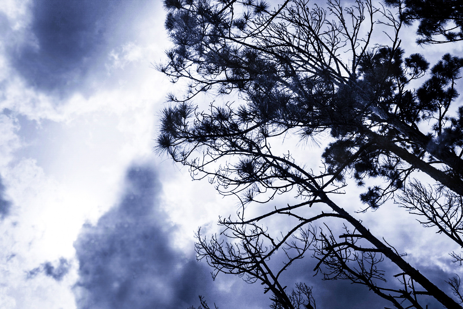Landscape Photography  |  Scenic Photography  |  Outdoor Photography