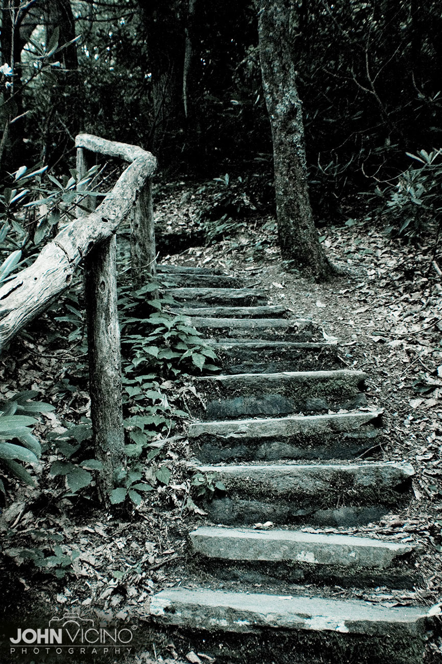 Landscape Photography  |  Scenic Photography  |  Outdoor Photography
