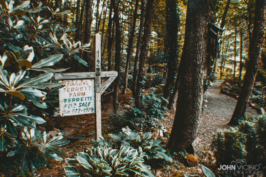 Landscape Photography  |  Scenic Photography  |  Outdoor Photography