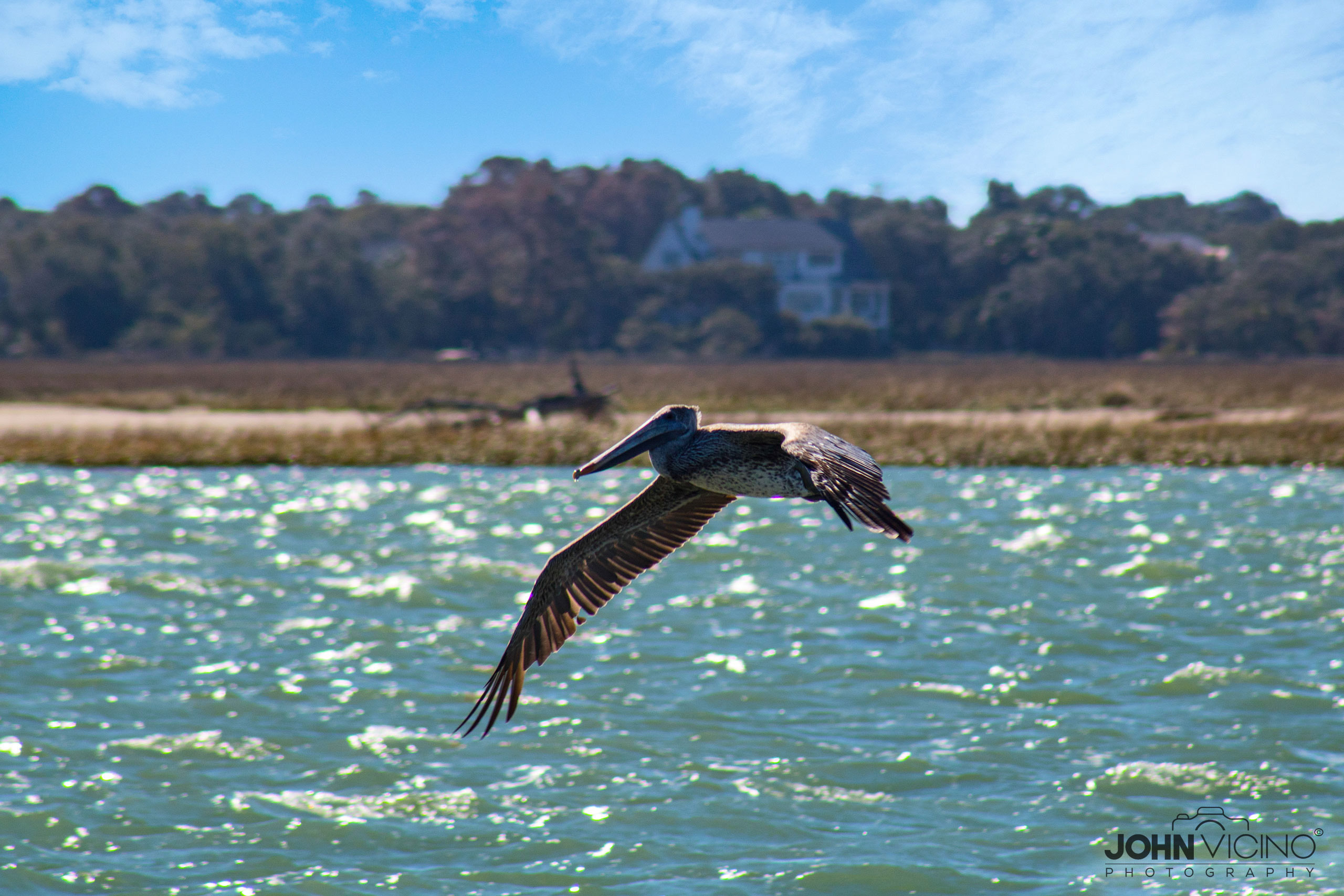 Landscape Photography  |  Scenic Photography  |  Outdoor Photography 