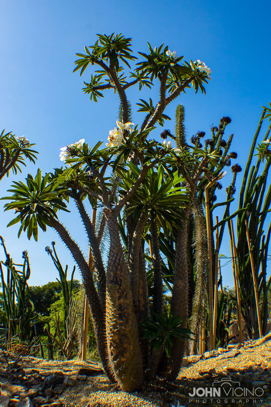 Landscape Photography  |  Scenic Photography  |  Outdoor Photography 