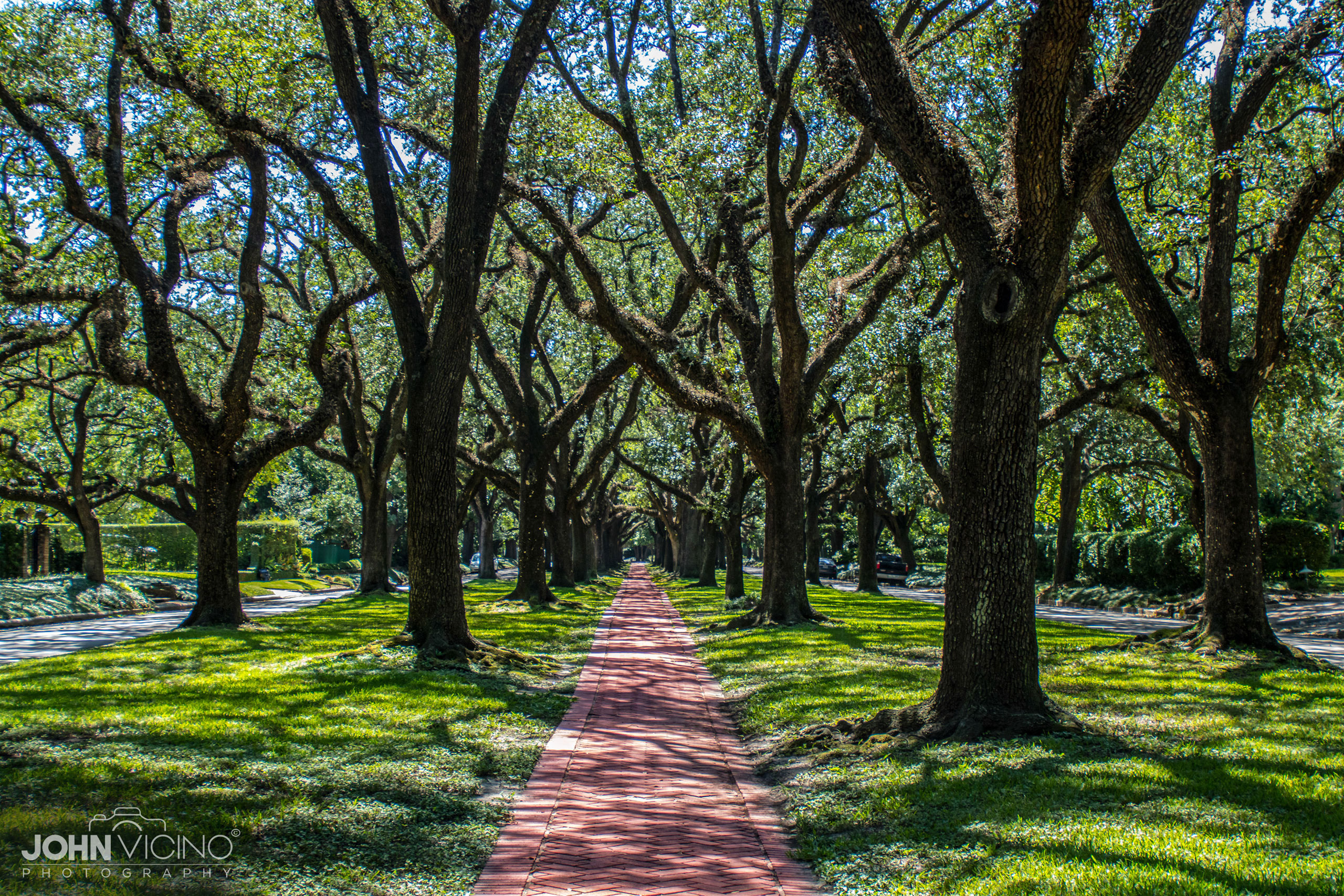 Landscape Photography  |  Scenic Photography  |  Outdoor Photography 