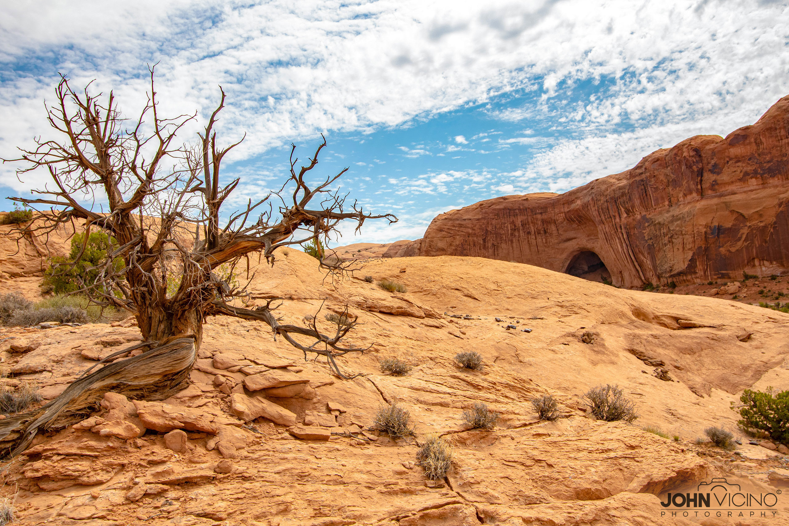 Landscape Photography  |  Scenic Photography  |  Outdoor Photography