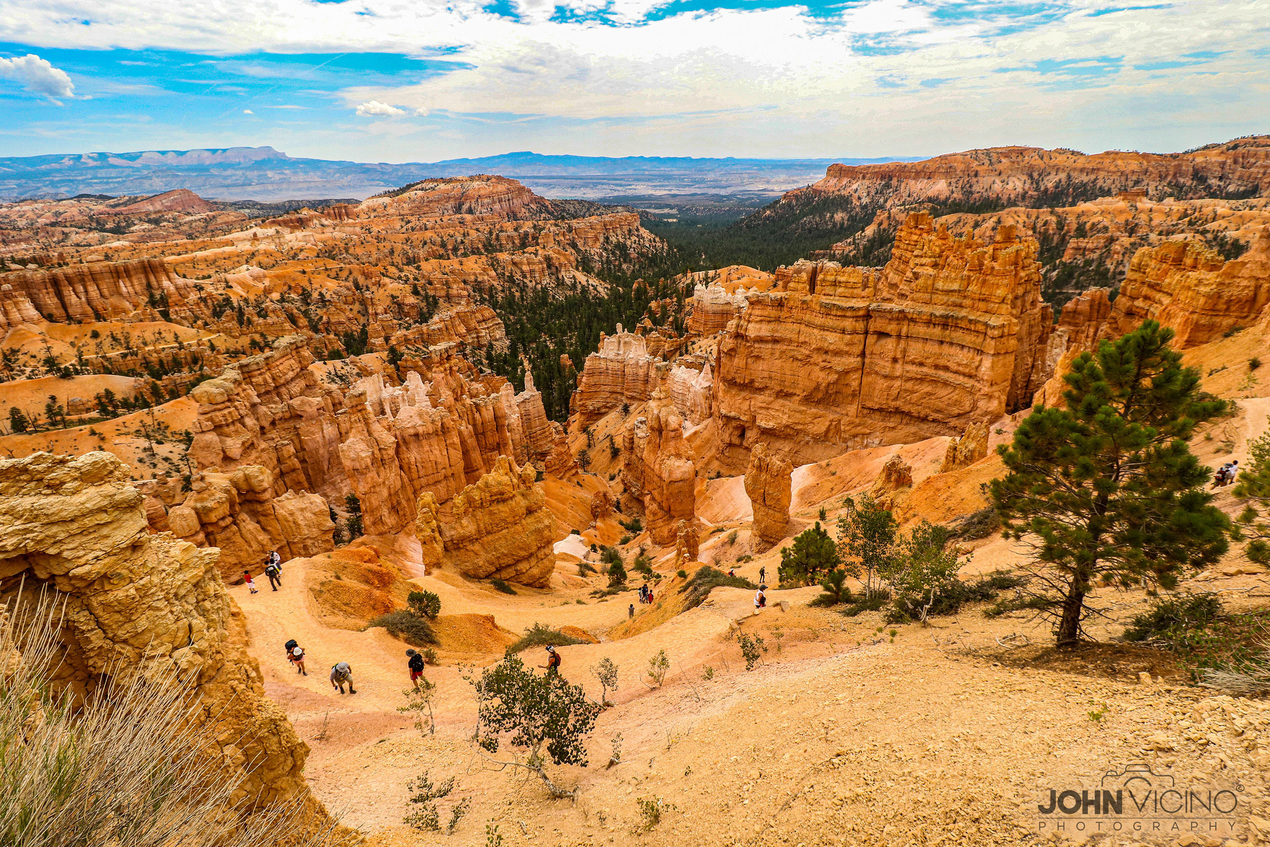 Landscape Photography  |  Scenic Photography  |  Outdoor Photography