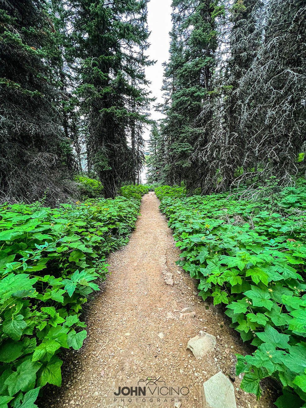 Landscape Photography  |  Scenic Photography  |  Outdoor Photography