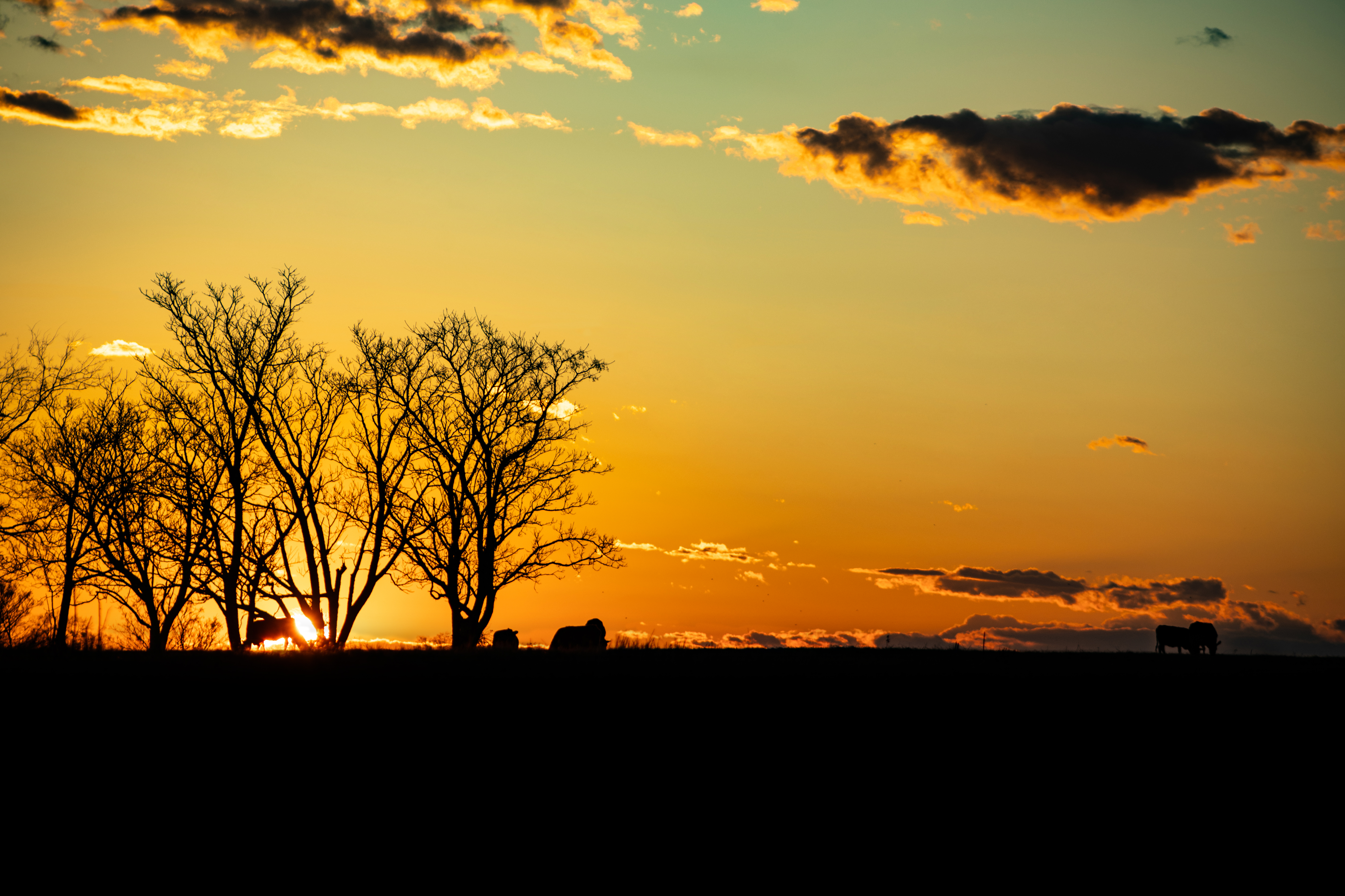 Landscape Photography  |  Sunset Photos