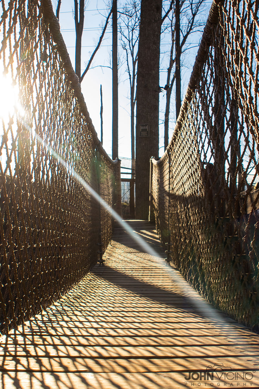 Miscellaneous Photos | Miscellaneous Photography