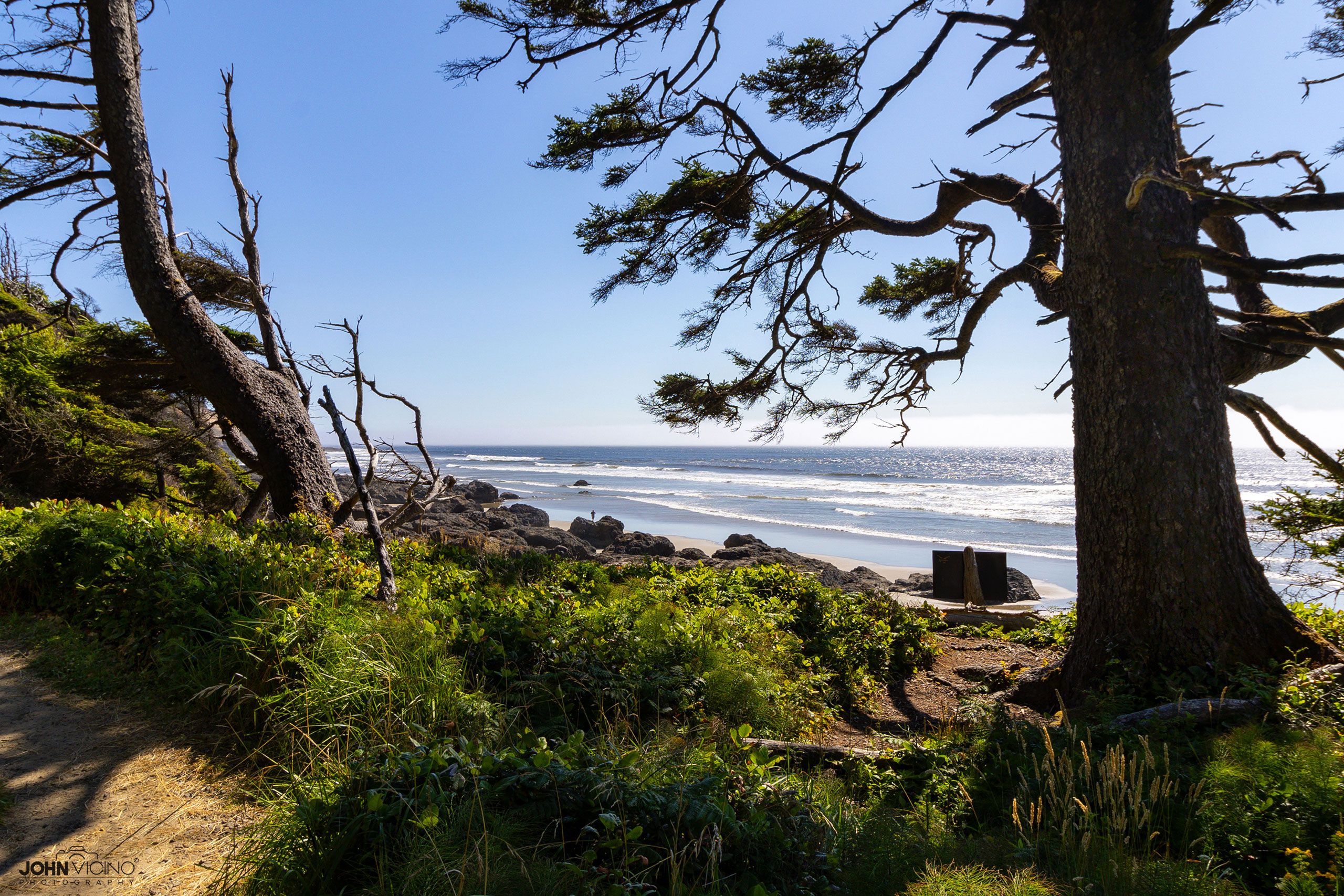 Landscape Photography  |  Oregon Coast