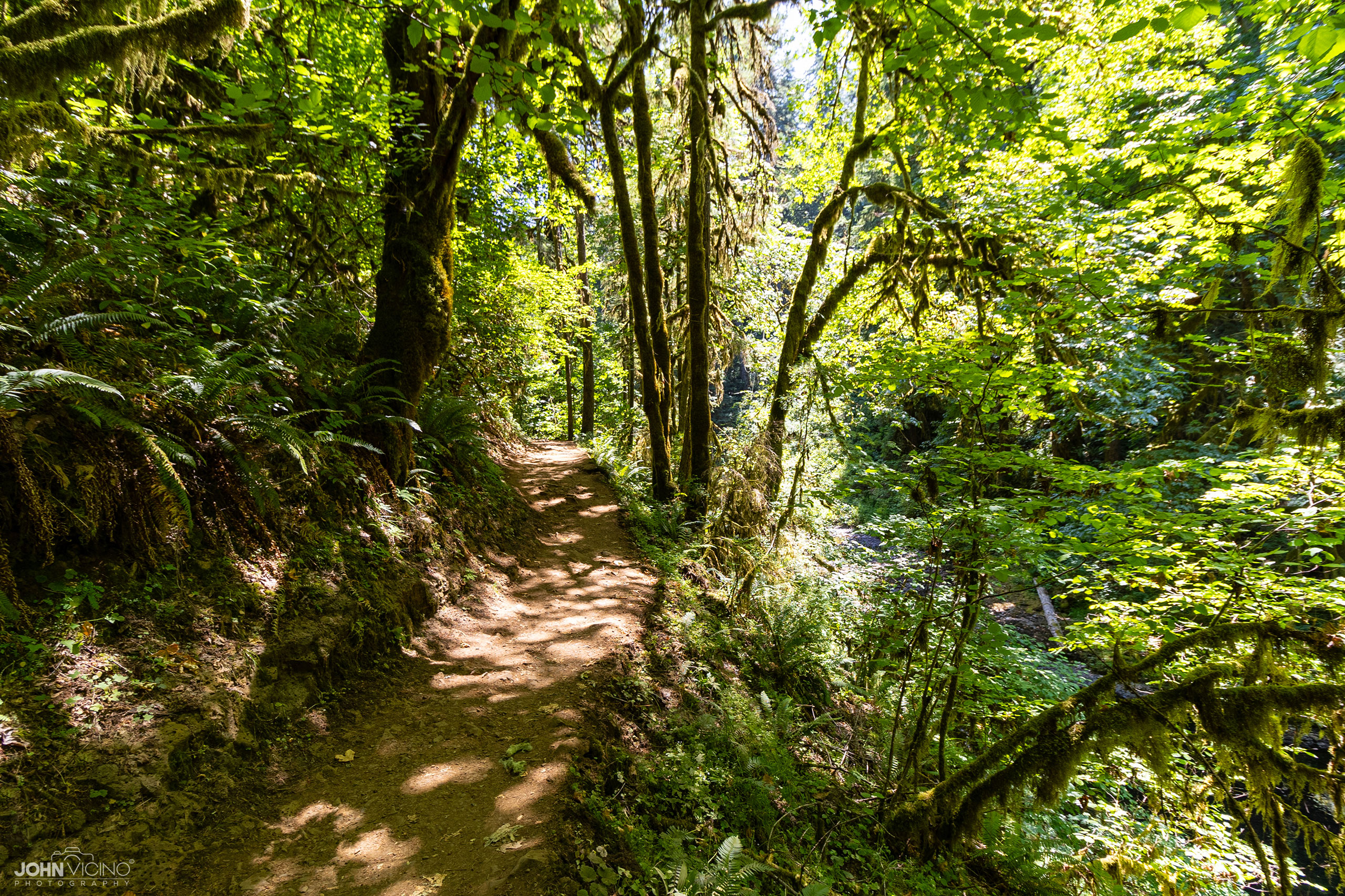 Scenic Photography  |  Outdoor Photography | Silver Falls State Park