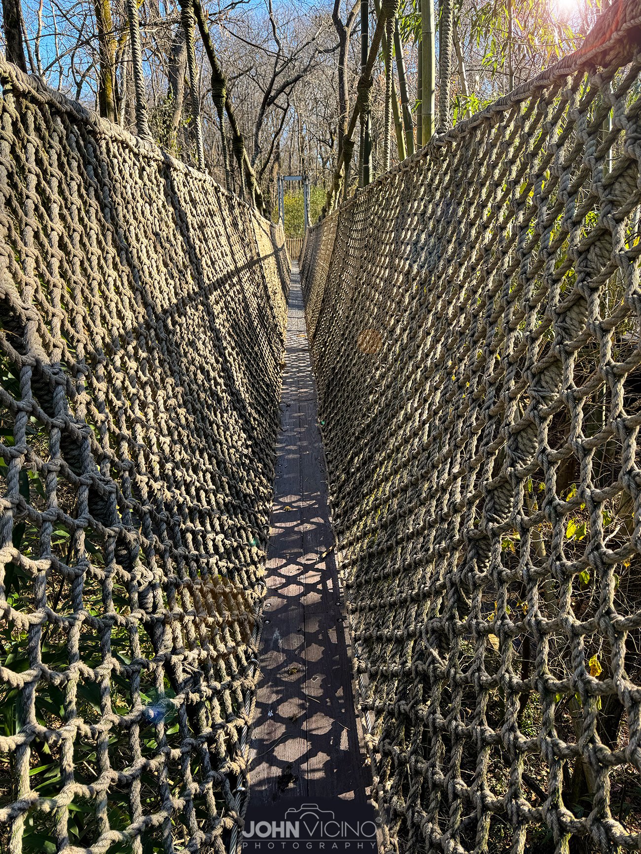 Miscellaneous Photos | Miscellaneous Photography | ©John J. Vicino