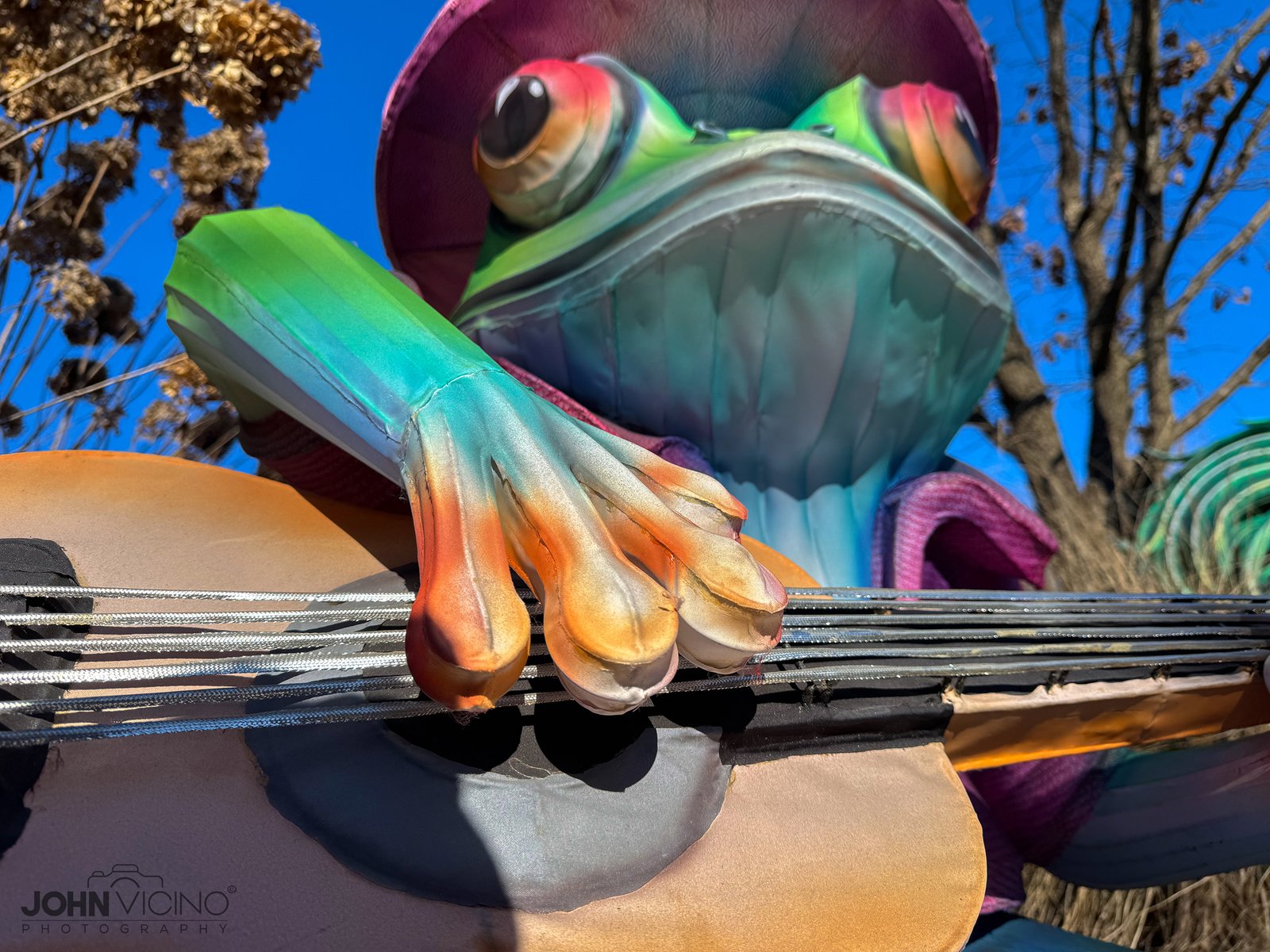 Miscellaneous Photos | Miscellaneous Photography | ©John J. Vicino